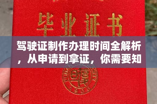 丹寨驾驶证制作办理时间全解析，从申请到拿证，你需要知道的一切