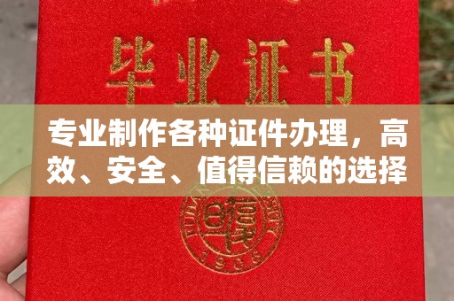 丹寨专业制作各种证件办理，高效、安全、值得信赖的选择