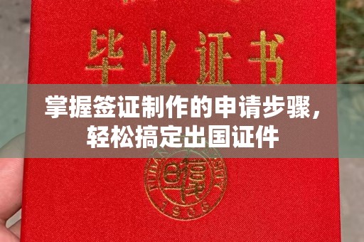 丹寨掌握签证制作的申请步骤，轻松搞定出国证件