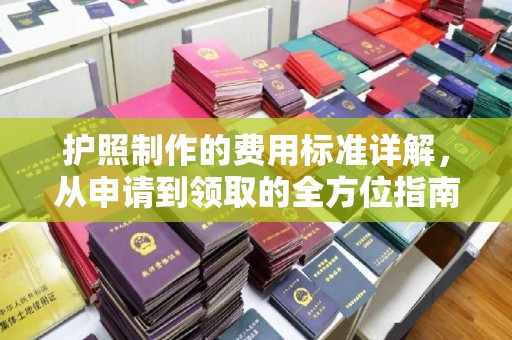 丹寨护照制作的费用标准详解，从申请到领取的全方位指南