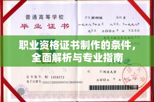 丹寨职业资格证书制作的条件，全面解析与专业指南